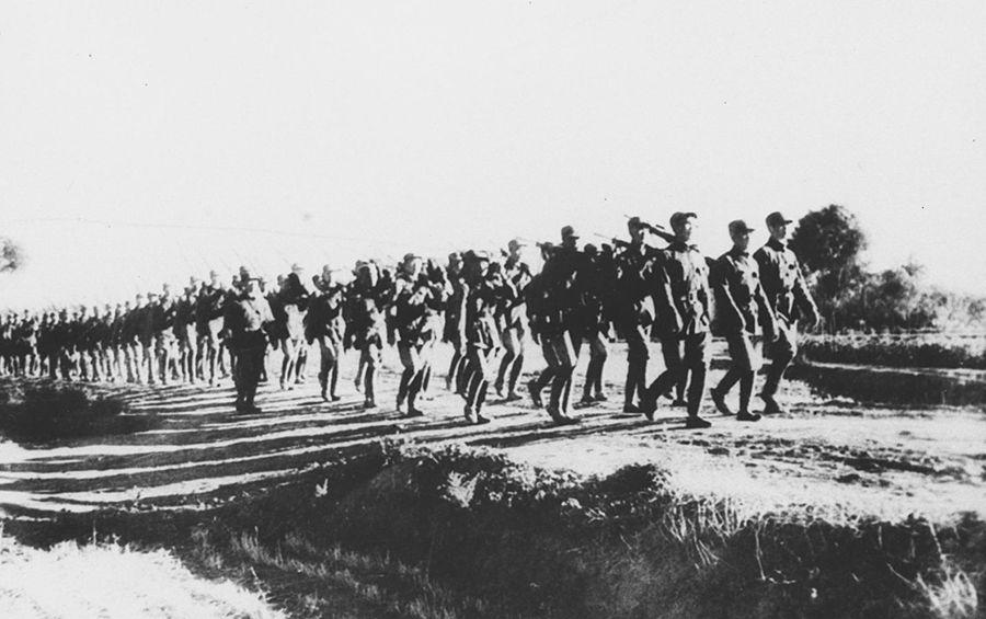 中国陆军何时更名,历史沿革与现代发展,中国陆军,历史沿革与现代发展及更名时间探究