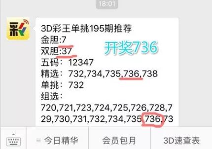 王中王一肖中特4993，探寻背后的故事与意义，探寻王中王一肖中特4993背后的故事与深层含义