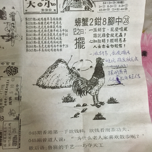 王中王，探寻生肖之谜与诗意猜想，王中王，生肖之谜的诗意探寻与猜想