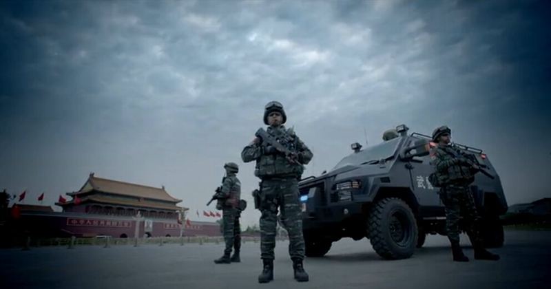 武警军花，绽放的荣耀与担当，武警军花，荣耀与担当的绽放