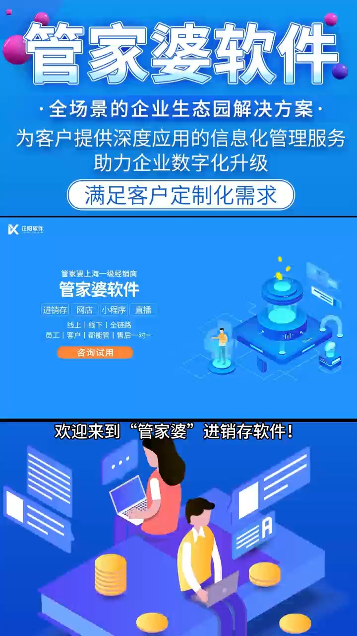 管家婆正版管家的魅力与价值，管家婆正版管家的核心魅力与实用价值