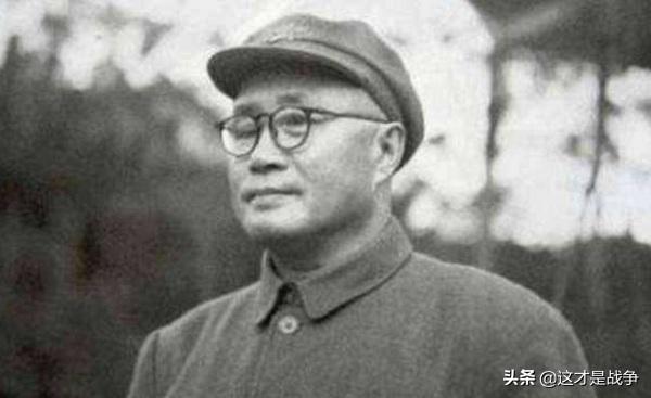 打仗最猛两大元帅,勇猛与智慧的完美结合,勇猛与智慧的巅峰,两大元帅的战争传奇