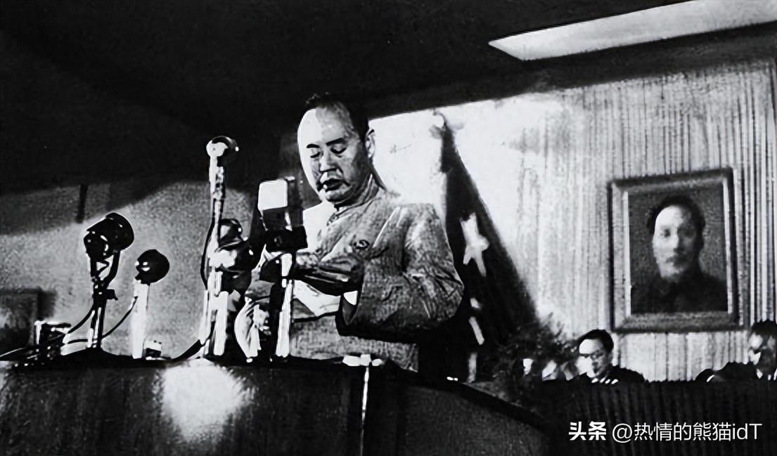 打仗最猛两大元帅,勇猛与智慧的完美结合,勇猛与智慧的巅峰,两大元帅的战争传奇