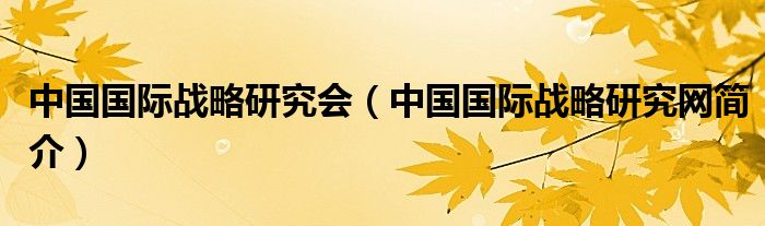 中国国际战略网,解析与探讨,中国国际战略网深度解析与探讨