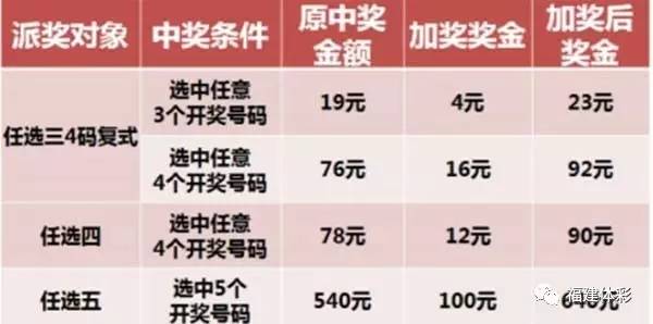 王中王平特一肖稳中赚，策略、智慧与持续发展的力量，策略、智慧与持续发展的力量，王中王平特一肖稳中赚的实现之路