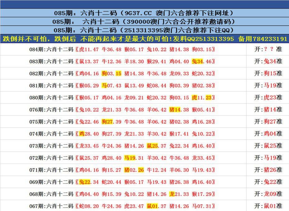 澳门正版资料的深度探索，澳门正版资料的深度探究