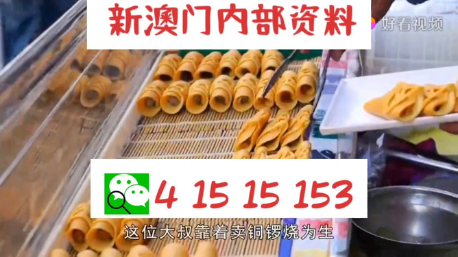 新澳门天天开好彩，探索未来的繁荣与机遇，新澳门未来繁荣与机遇的探索，天天开好彩