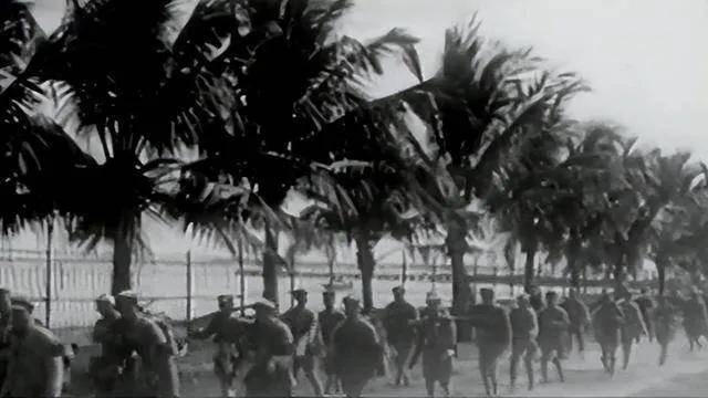 谁指挥了海南岛战役?揭秘解放战争中的英勇决策与指挥艺术,海南岛战役背后的英勇决策与指挥艺术揭秘,谁在关键时刻指挥了胜利?