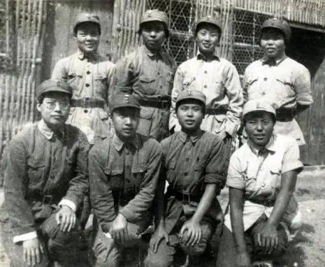 历届女兵方队，展现女性力量与荣耀的篇章，历届女兵方队，女性力量与荣耀的辉煌篇章