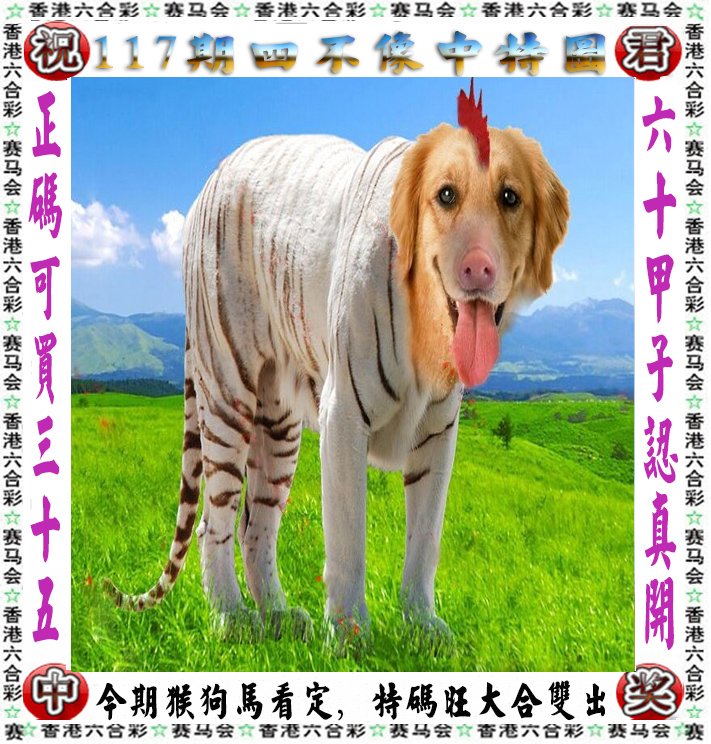 王中王四不像中一肖,神秘与探索,王中王四不像的神秘探索之旅