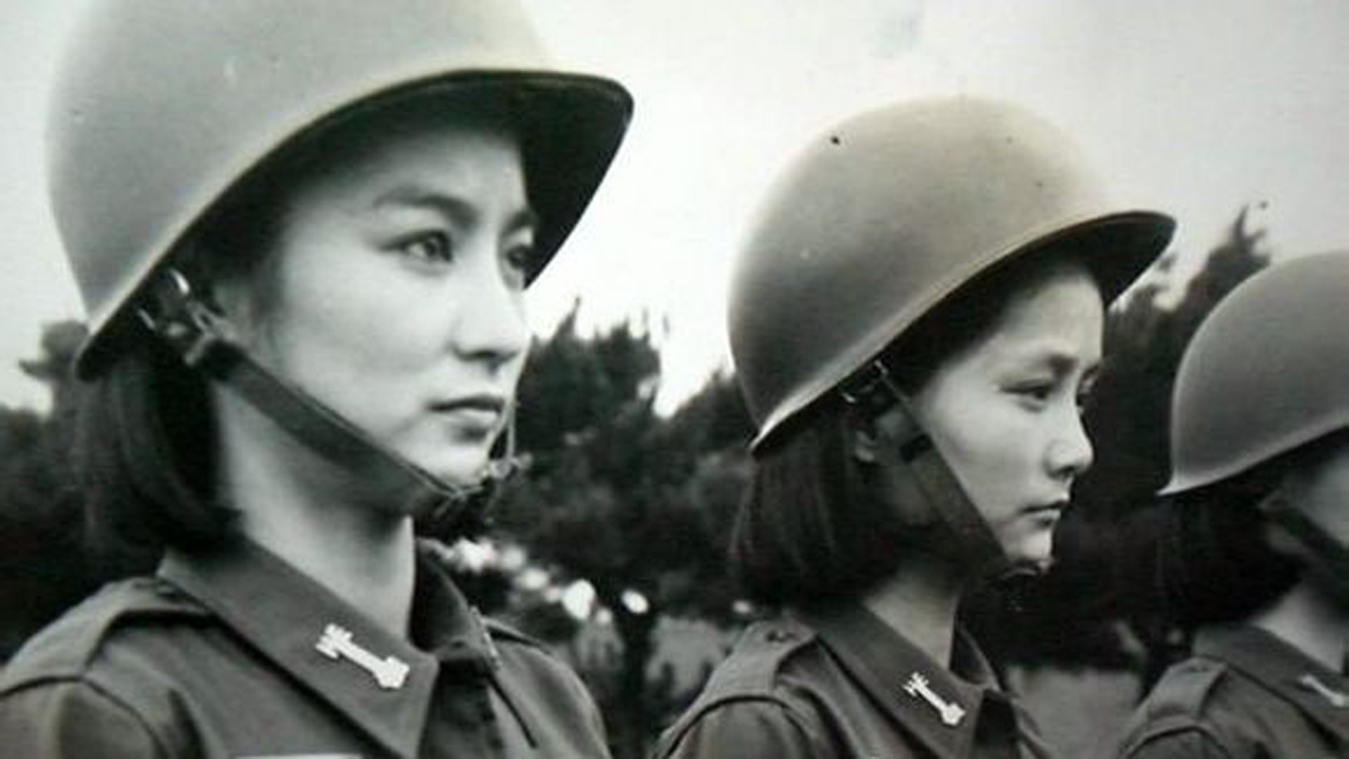 中国女兵在越南，电影在线播放的启示，中国女兵在越南，电影启示录