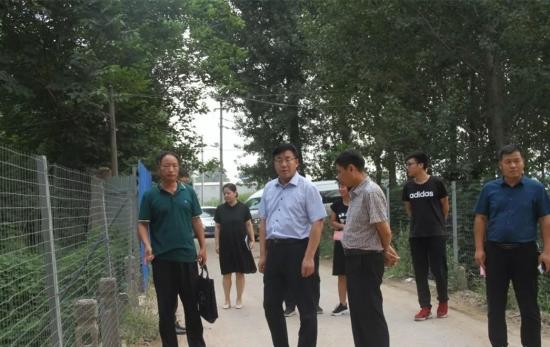 开封空降师所属军区解析，开封空降师所属军区深度解析