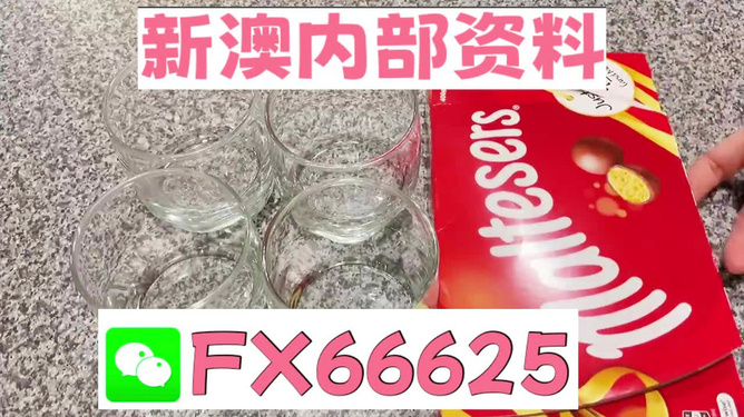 澳门49图正版资料，探索与解析，澳门49图正版资料深度解析与探索