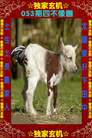 王中王四不像一肖中特,探索神秘现象背后的真相,探索‘王中王四不像’神秘现象背后的真相