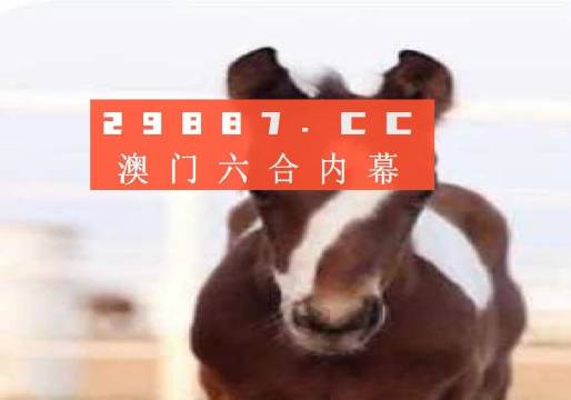 新澳门一码一码，揭秘准确预测的真相，揭秘新澳门一码一码预测真相