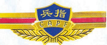 中国人民武装警察部队特种臂章，荣耀的象征与力量的展现，中国人民武装警察部队特种臂章，荣耀与力量的标志