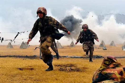 陆军最牛的兵种是什么?深度解析陆军各兵种特点与优势,深度解析,陆军最强兵种的特点与优势探究