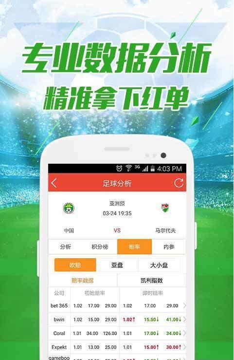 澳门资料大全正版资料查询，深入了解澳门的历史与文化，澳门历史与文化深度解析，正版资料查询大全