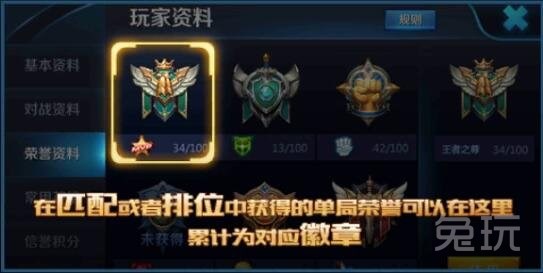 徽章霸气图片，展现力量与荣耀的象征，徽章霸气尽显力量与荣耀风采