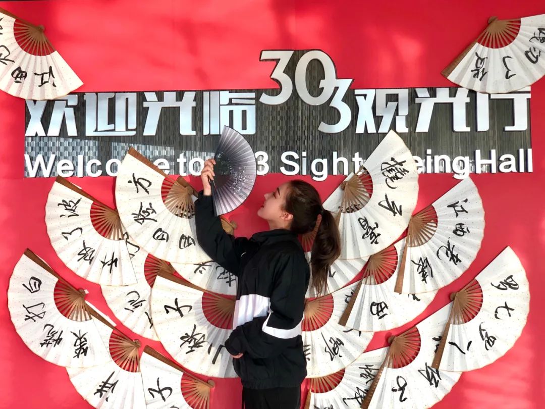 王中王303期指一生肖，探寻生肖文化背后的奥秘与深意，探寻生肖文化背后的奥秘与深意——王中王303期生肖揭秘