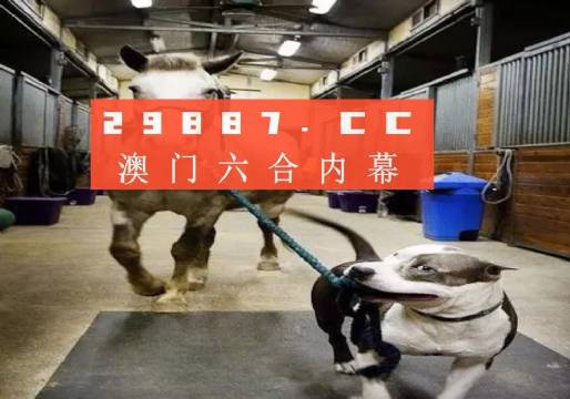 运气与命运神秘交汇点