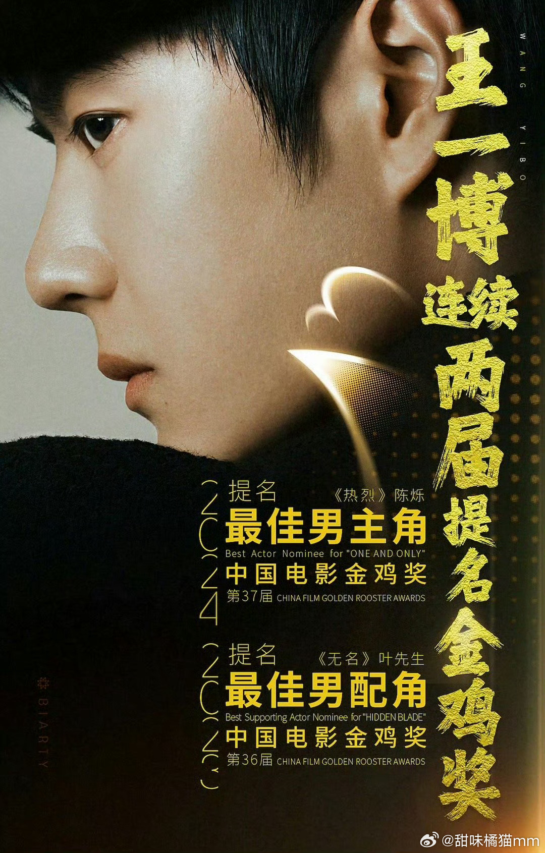 王中王一肖一特一中的深度评价，王中王一肖一特一中的全面深度评价