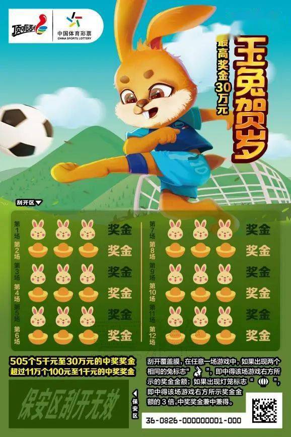 王中王一肖中特兔费，探索与解析，王中王一肖中特兔费，深度探索与解析