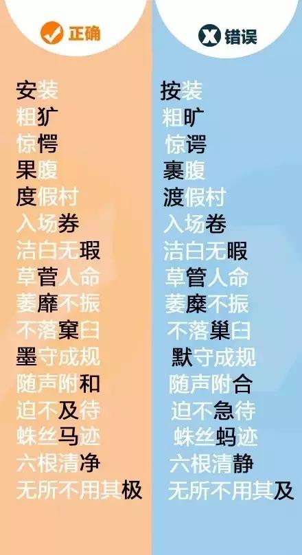 王中王平特一肖全年无错——精准预测的魅力与实力，王中王平特一肖，全年无错预测的魅力与实力展现