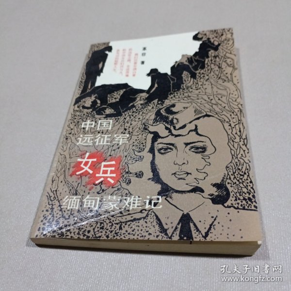 缅甸远征军的小说,英勇与牺牲的传奇,缅甸远征军的英勇传奇,牺牲与荣耀的故事
