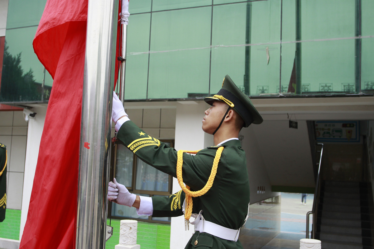 历史回顾与展望未来