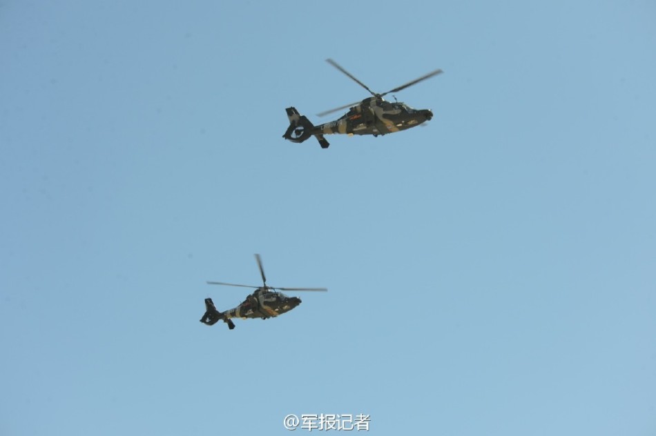 武直 第3页