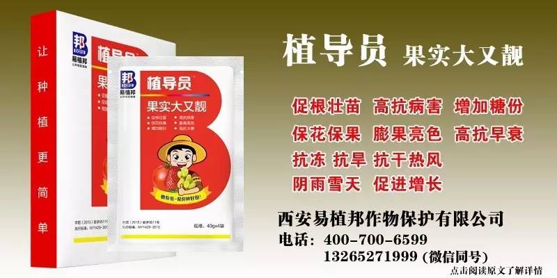 王中王100%期期一肖，揭秘彩票背后的秘密，揭秘彩票背后的秘密，王中王期期一肖真相探索