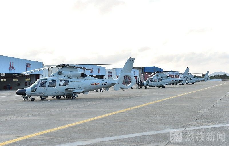 荔枝军事网,探索军事领域的深度与广度,荔枝军事网,深度探索军事领域