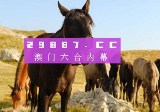 新澳门管家婆免费资料查询，探索与解析，澳门管家婆免费资料查询解析指南