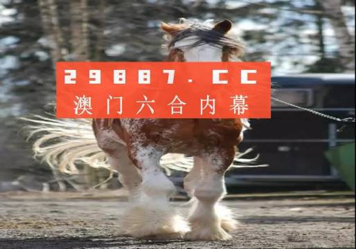 平特一肖金码论坛王中王——深度探讨与解析，平特一肖金码论坛王中王，深度解析与探讨