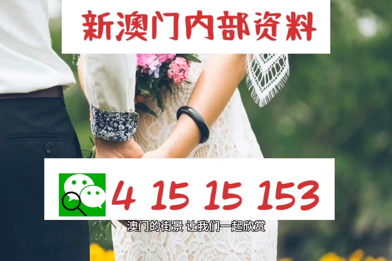 澳门今晚必开一肖一特，深度解析与预测，澳门今晚生肖特码深度解析与预测，一肖一特必开趋势探讨