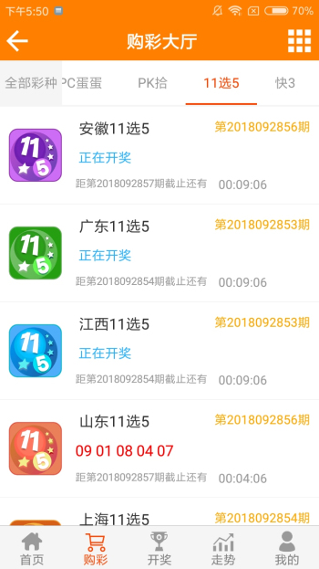 王中王平特一肖必出，探索命运之轮的秘密，探索命运之轮的秘密，王中王平特一肖必出