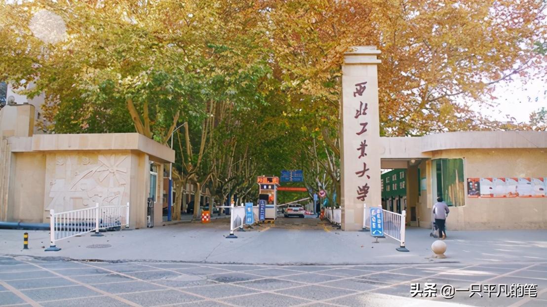 歼-10总设计师杨伟的生平与成就，歼-10总设计师杨伟的辉煌生涯与卓越成就