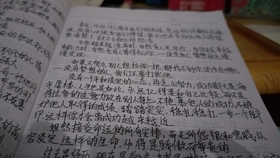 新闻摘抄，科技创新引领未来——科技领域的最新动态报道，科技创新引领未来，最新科技动态报道