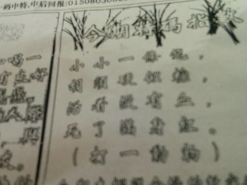 刘伯温平特一肖与预测彩票的传奇故事——第127期的独特解读，刘伯温第127期彩票预测传奇，平特一肖的独特解读