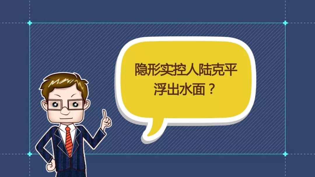 陆克平，一位引领时代的杰出人物，陆克平，时代引领者的杰出风采