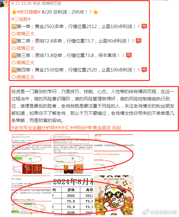 探索王中王一肖平特图的奥秘，王中王一肖平特图奥秘探索