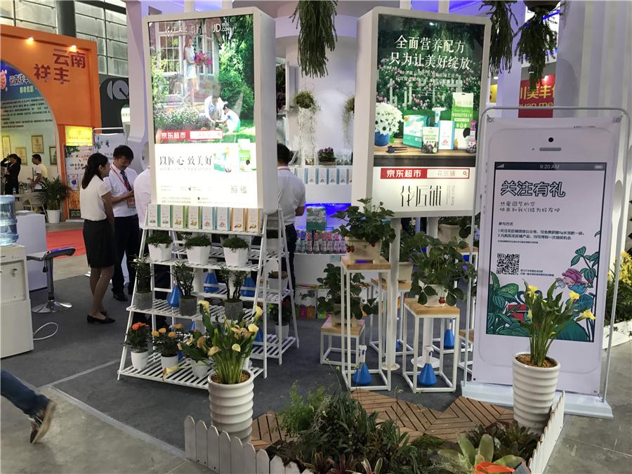 原中国人民解放军西南军区第十四集团军,历史与荣耀的见证,原中国人民解放军西南军区第十四集团军,历史与荣耀的辉煌见证