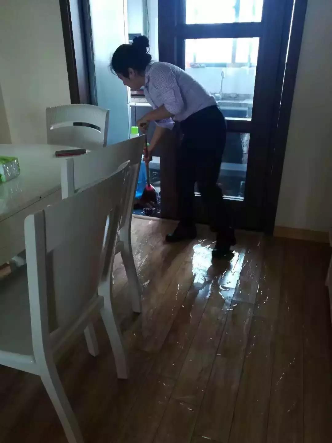 管家肖的生肖属性,探寻与解读,管家肖的生肖属性深度解读与探寻