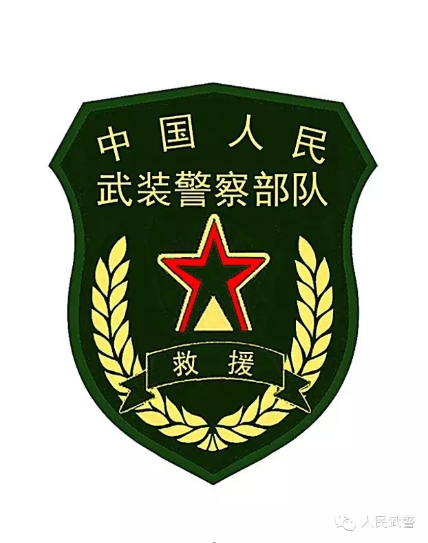 国宾护卫队臂章高清，荣耀与责任的象征，国宾护卫队臂章，荣耀与责任的象征（高清）