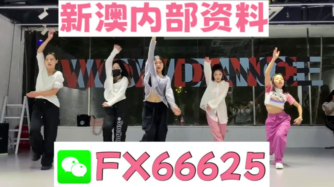 关于新奥资料免费精准网址的探索，新奥资料免费精准网址探索之旅