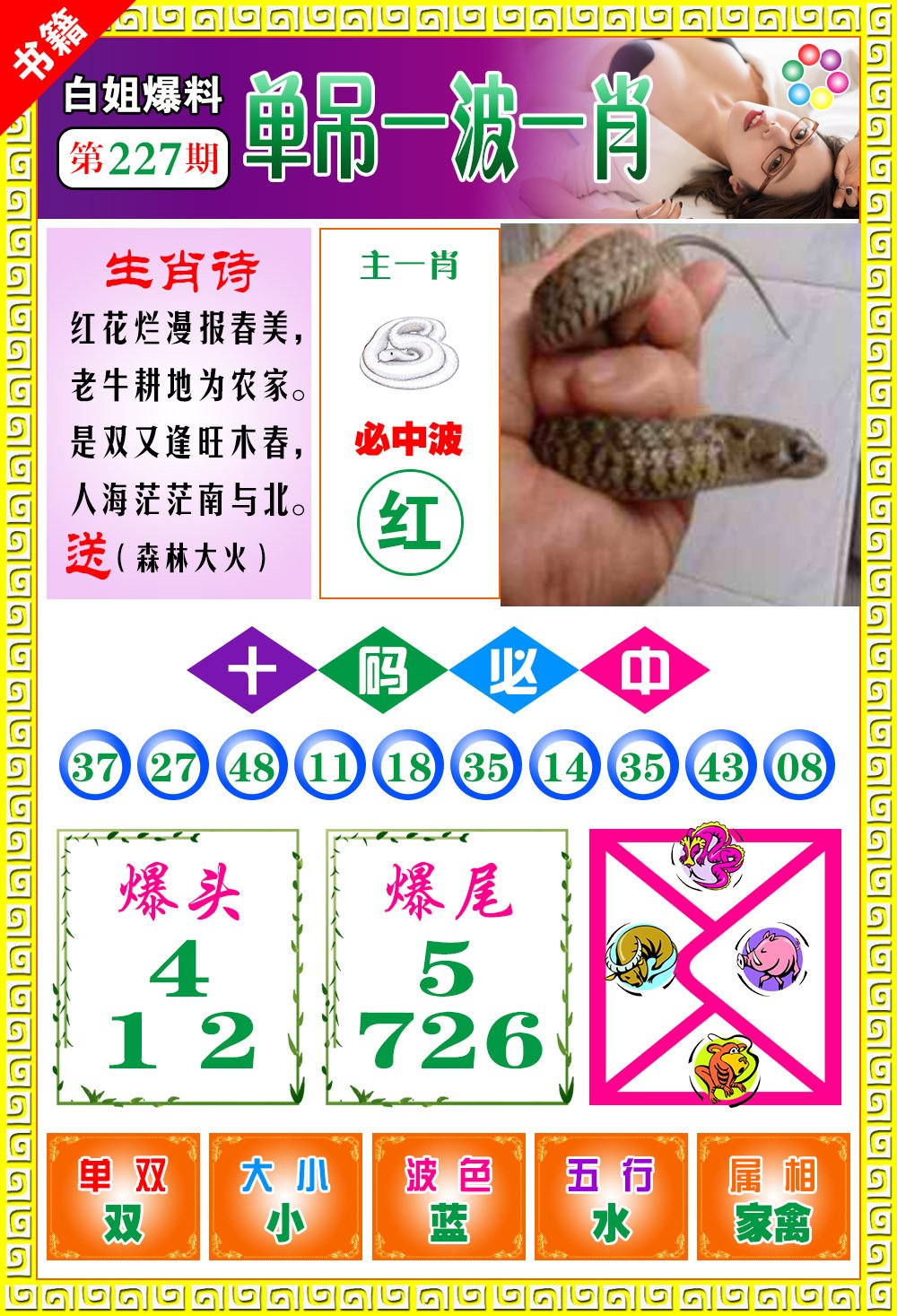 最准的一肖王中王——探寻生肖预测的魅力与真相，揭秘生肖预测真相，最准的一肖王中王探寻生肖魅力之源