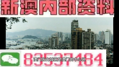 澳门正版资料2025年精准大全——探索真实与免费的平衡，澳门正版资料探索真实与免费的平衡点，澳门资讯精准大全（2025年）