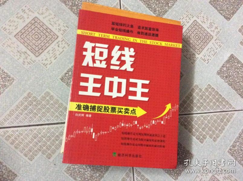 王中王平特一肖必，探索成功之路与卓越追求，王中王平特一肖必，成功之路与卓越追求的探索