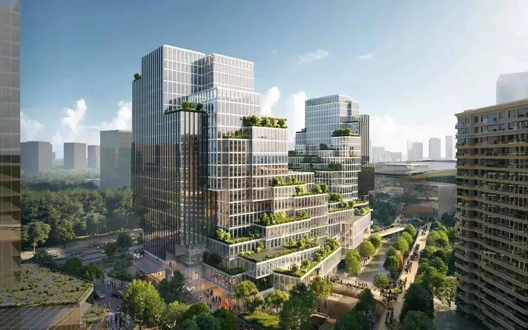 探索未来，2025年新澳门芳草地网的发展之路，探索未来，澳门芳草地网迈向2025的发展之路